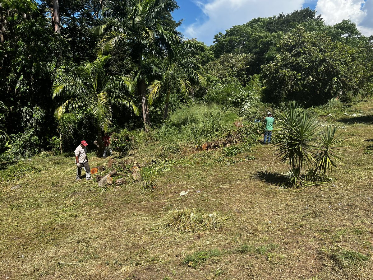 Por segundo día consecutivo las cuadrillas se mantienen desplegadas en las áreas externas del Tribunal Supremo de Justicia (TSJ) Ciudad Bolívar; con las labores de desmalezamiento, limpieza y poda de árboles controlada #VenezuelaGaranteDePaz