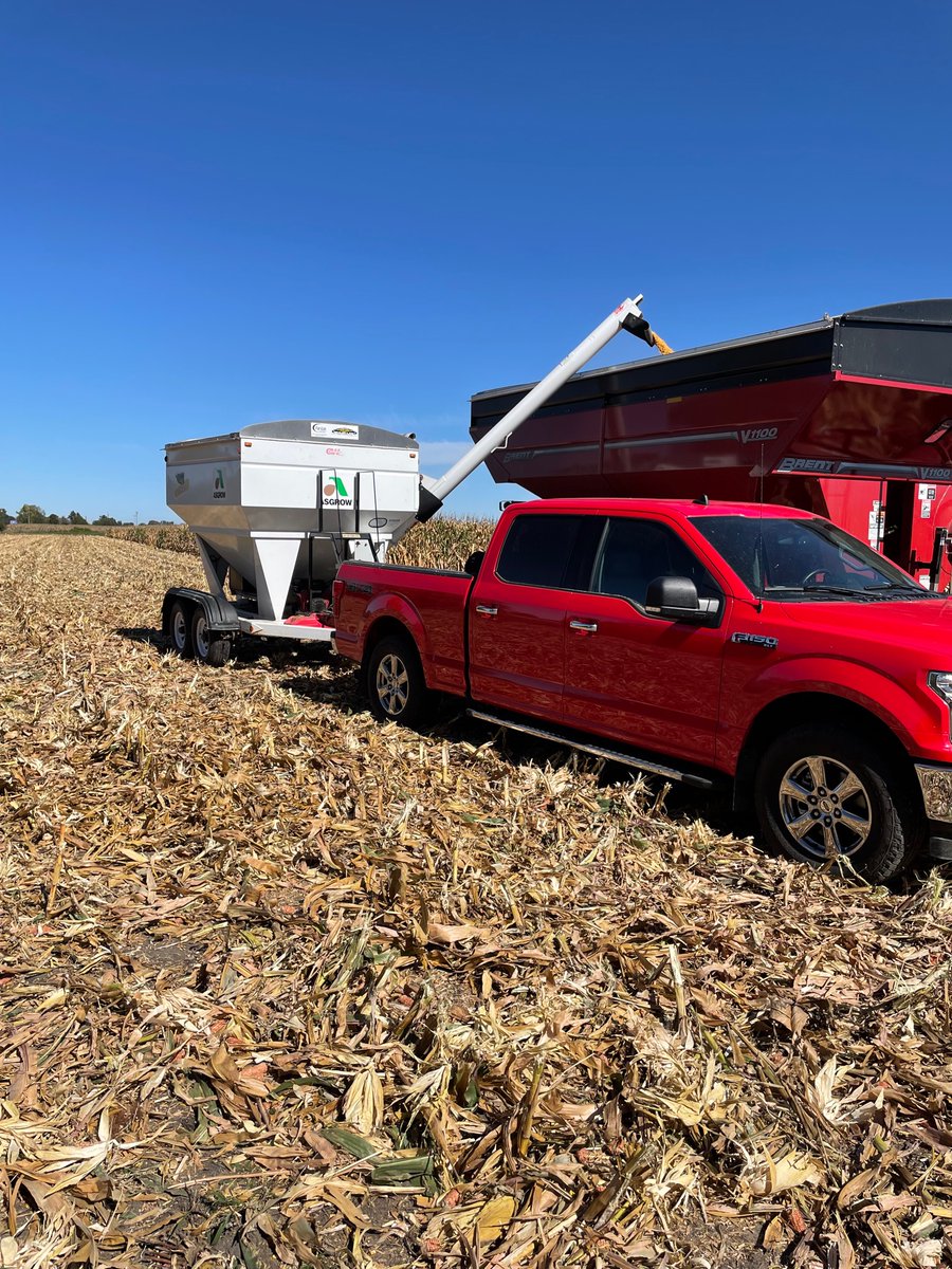 Data collection has begun!! Thanks to Synergy Seeds for helping with this <a href="/AGDKC_ECIL/">ECIL ASGROW DEKALB</a> DEKALB trial!!
Top 5 DEKALB products
DKC66-06RIB *NEW
DKC65-95RIB
DKC64-22RIB *NEW
DKC56-26RIB *NEW
DKC66-17RIB

#Bayer4IL <a href="/Asgrow_DEKALB/">DEKALB Asgrow Seed</a>