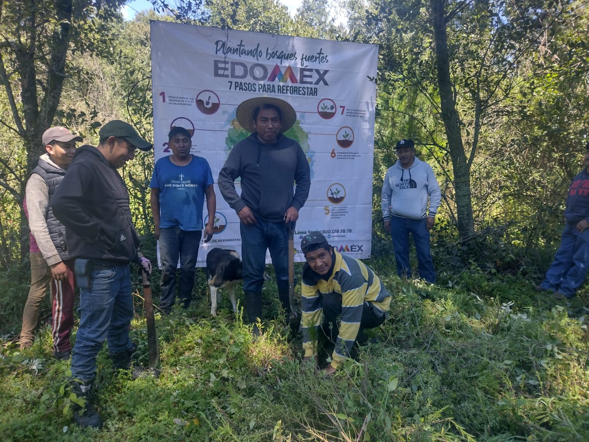 Probosque_'s tweet photo. Para aumentar la masa forestal del #Edoméx, llevamos a cabo una jornada de #Reforestación2022 en el ejido Río Frío, en #Ixtapaluca, donde participó personal de #Probosque, representantes ejidales y vecinos de la comunidad.

#PlantandoBosquesFuertes
@CampoEdomex https://t.co/8PbPSU49py