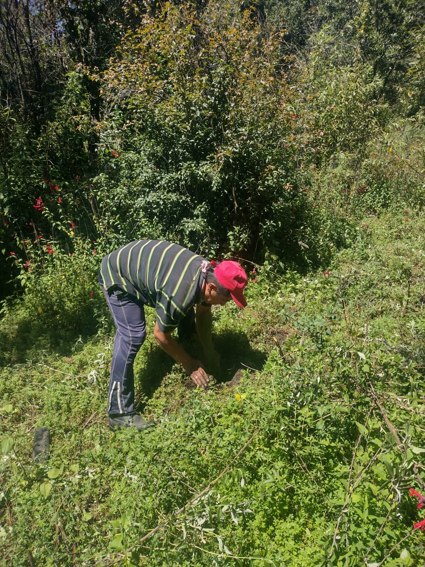Probosque_'s tweet photo. Para aumentar la masa forestal del #Edoméx, llevamos a cabo una jornada de #Reforestación2022 en el ejido Río Frío, en #Ixtapaluca, donde participó personal de #Probosque, representantes ejidales y vecinos de la comunidad.

#PlantandoBosquesFuertes
@CampoEdomex https://t.co/8PbPSU49py