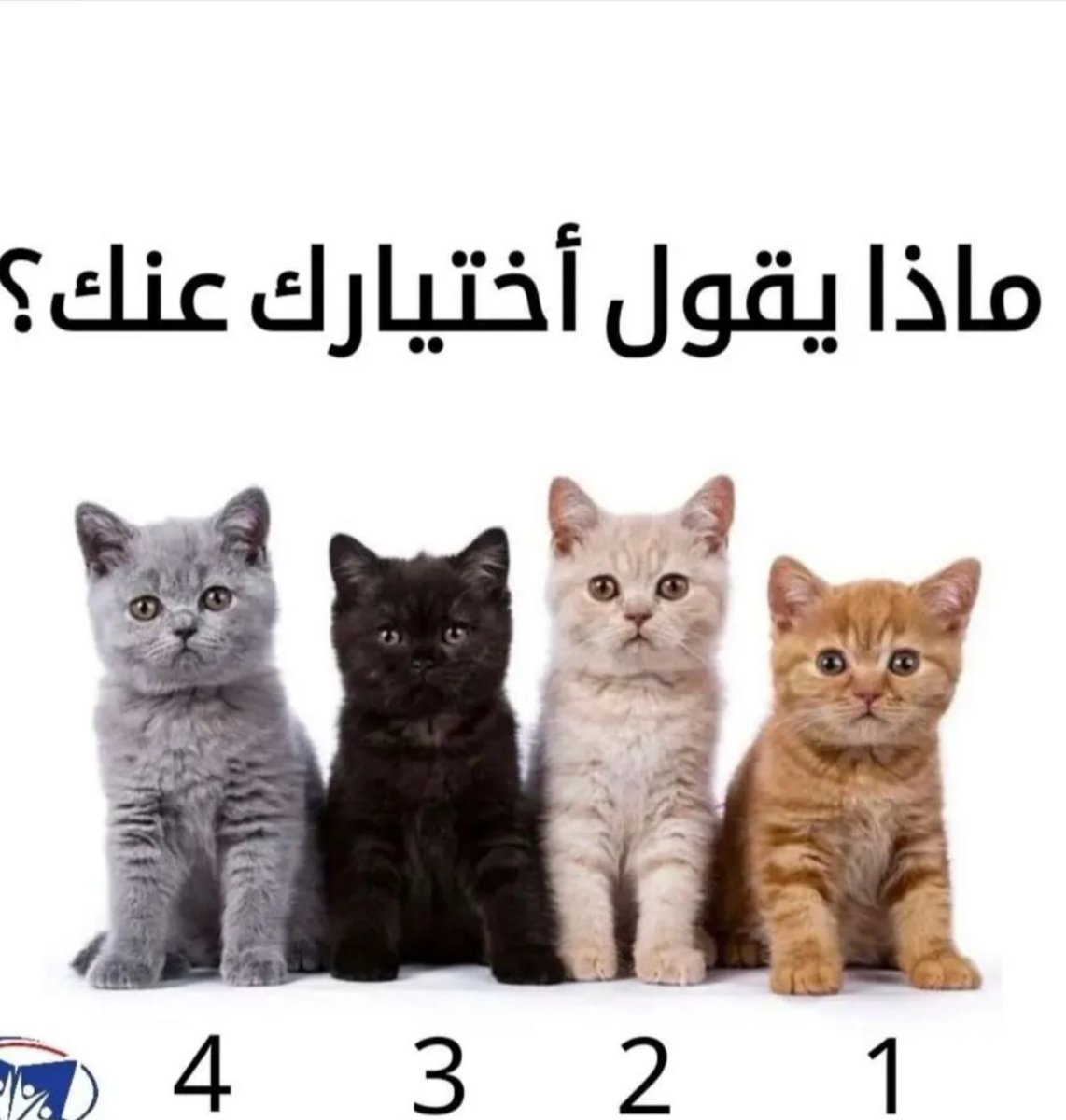 عماني🇴🇲❤ tweet media
