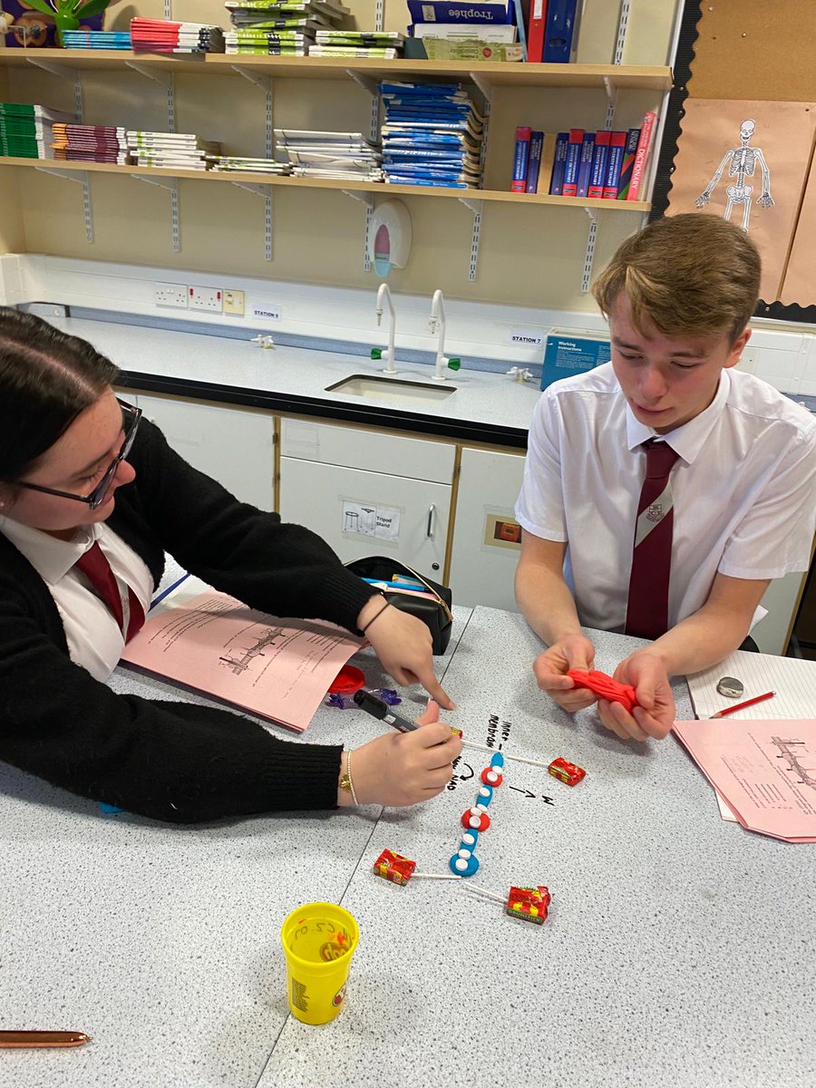VoLA_sci's tweet photo. Higher biologists have been busy modelling the electron transport chain located on the inner membrane of the mitochondria.

A mitochondrian walks into a bar and asks for a cup of energy. 

The barman says "that'll be ATP" 😂😂
#volasuperscientists #hhumanbiology  #handsonlearning https://t.co/Kepoioxcg7