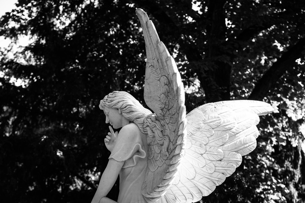 SilverBirchPres's tweet photo. "Among the Stone Angels," poem by Fran Markover (ONE GOOD MEMORY Series) https://t.co/wB9D3h6x7P
#poetry #memorials #FranMarkover https://t.co/wQPLCCIQqP