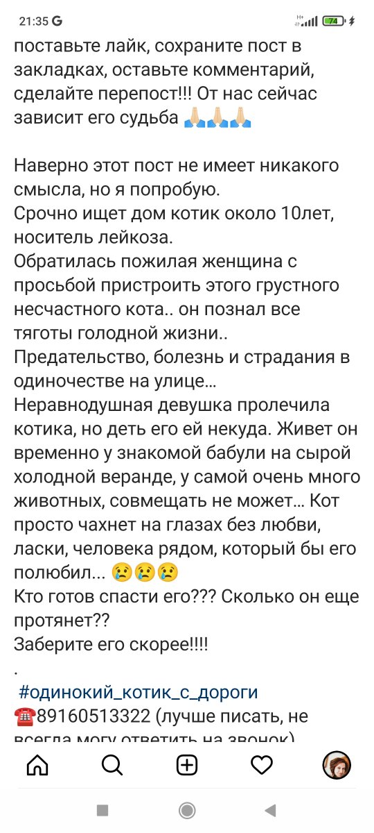 inka5_inna's tweet photo. Москва, нужен дом котику...отзовитесь, хотя бы на передержку на зиму, он же погибнет😔 https://t.co/nYiPsRd1JJ