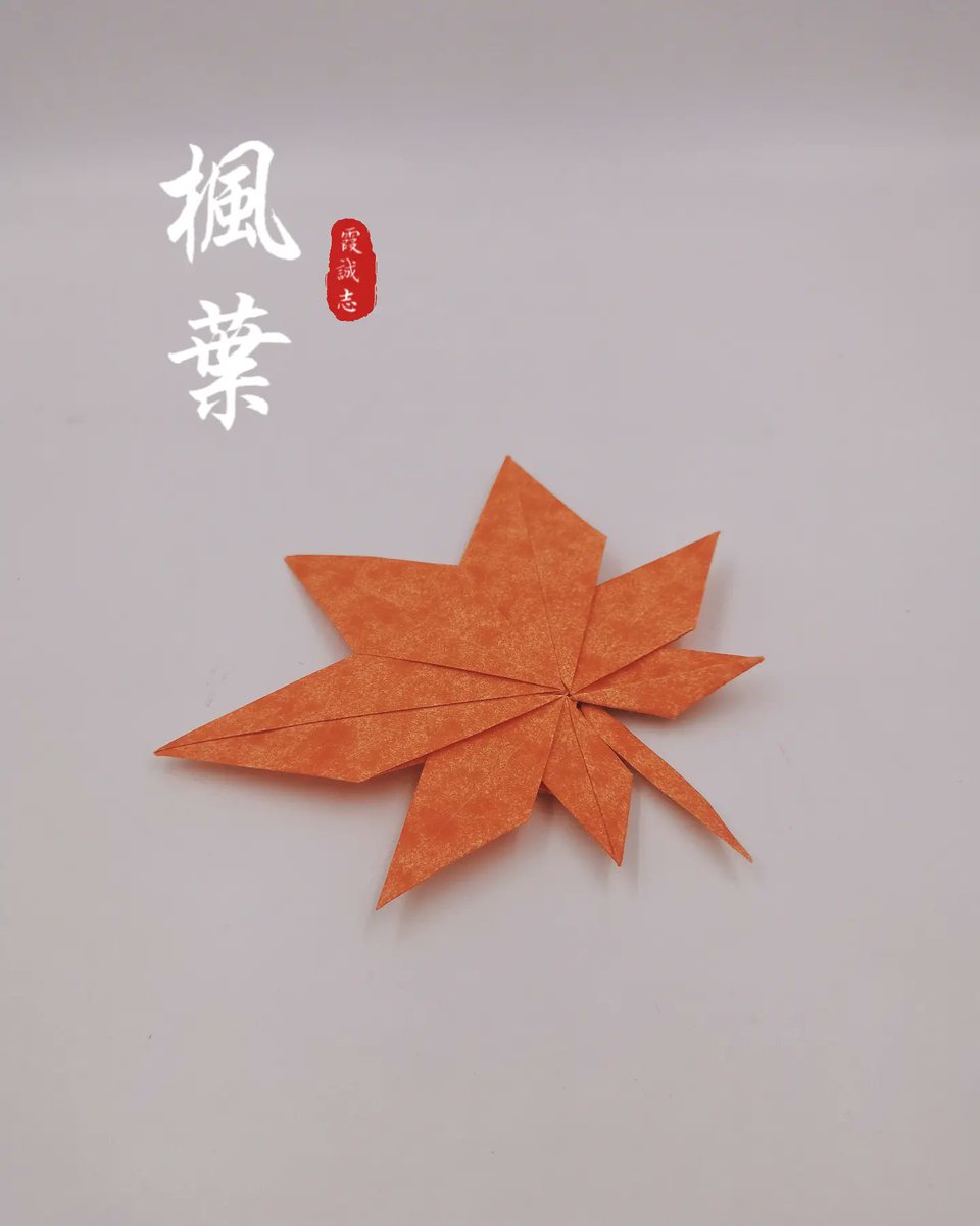 七角枫叶
​设计：霞诚志
折制：我
​用纸：25㎝云雾纸