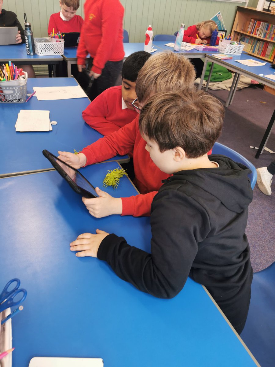 Mrs Thomson tweet media