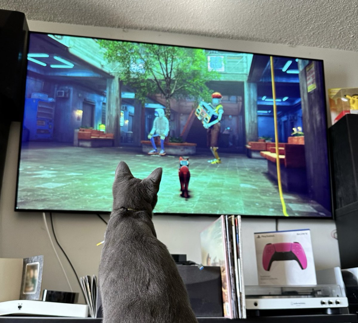 jefbot's tweet photo. new monster will not stop meowing and jumping up to touch the tv whenever i play #straygame https://t.co/bxmyqbOs7a