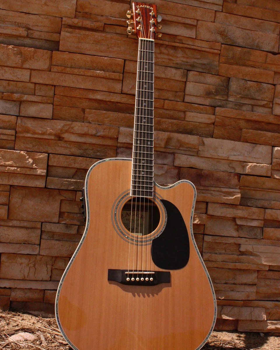 Zager Guitars For Sale atelieryuwa.ciao.jp