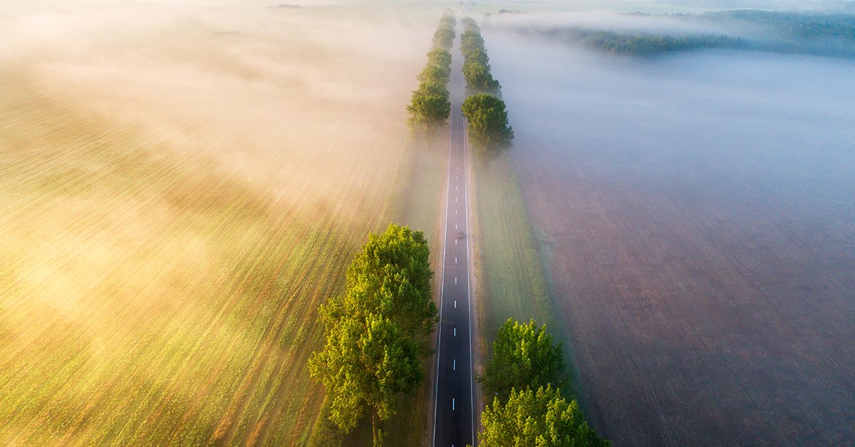 While the market outlook appears challenging, we suggest active stock picking where value has emerged and prospects for earnings achievability are good. Find out more in On the Markets. mgstn.ly/3SYbRh8