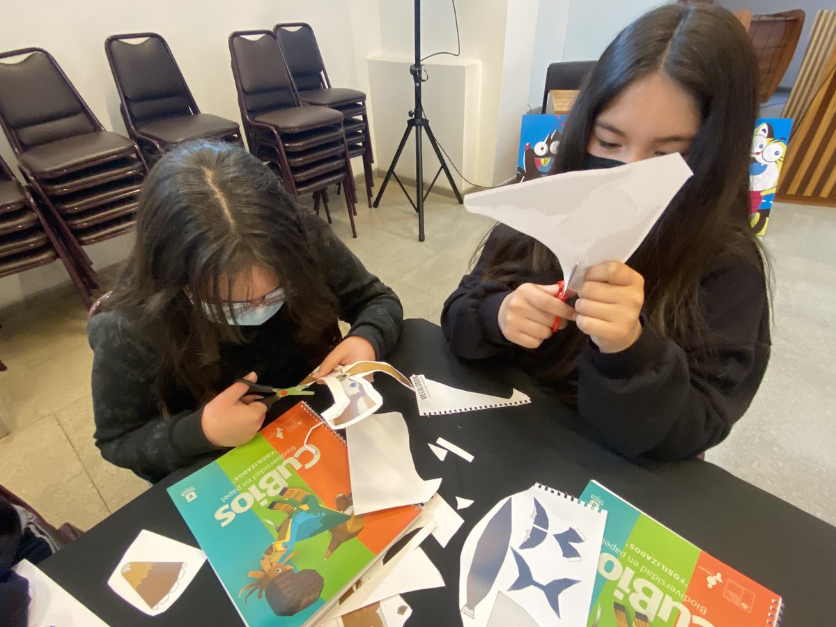 ExploraMaule's tweet photo. 🧬Hoy en #Cauquenes, 👧🏻👦🏻 Niñas y niños juegan, aprenden y celebran el conocimiento en #LaCienciaPopular
🧪Experimentos, videojuegos, Jenga del Agua y #Cubios 🦊🦕🐧
📲 Sigue todas nuestras actividades en redes sociales @exploramauleciesecre https://t.co/XeMnUmBptg