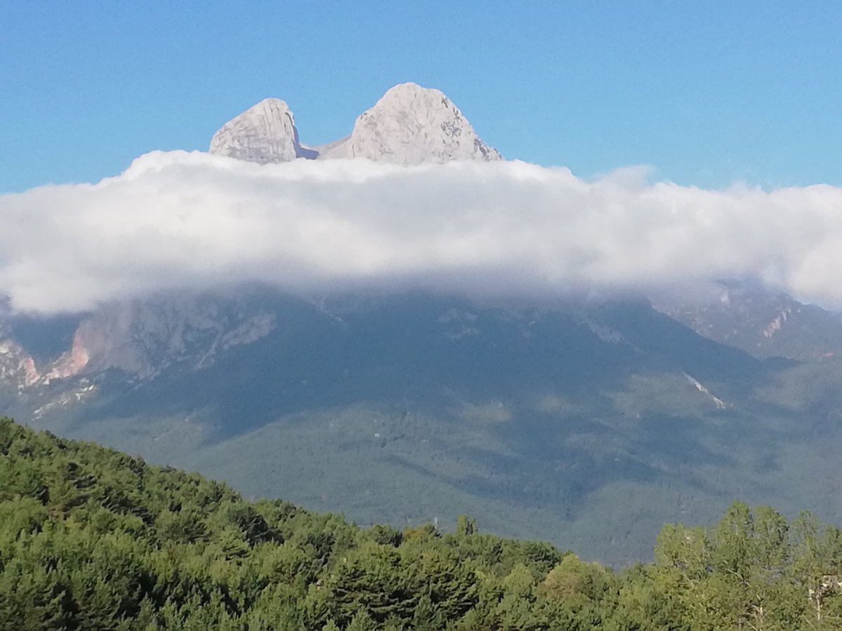 cescavina rusina🇷🇺🇷🇺 tweet media