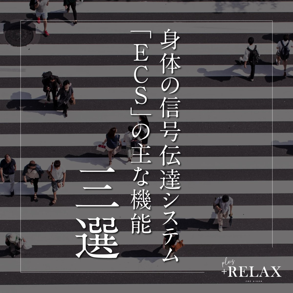 cbdnihon's tweet image. 身体の信号伝達システム「ECS」の主な機能三選】

1. 炎症が起きている部位を局所的に鎮める
2. 興奮状態に陥った時の鎮静効果
3. 体のバランス維持機能を高める

CBDにはまだまだ色々な使い方があるんですよ🍀

#cbd #cbd日本 #リフレッシュ #リラクゼーション #cbdナノ #cbd豆知識 #cbd雑学