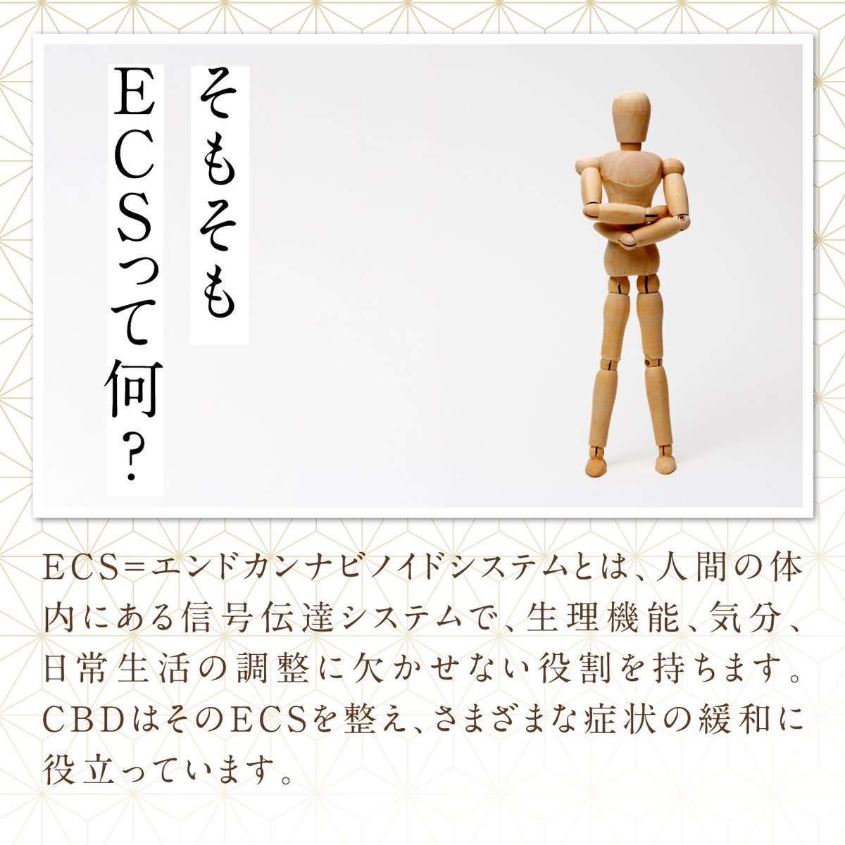 cbdnihon's tweet image. 身体の信号伝達システム「ECS」の主な機能三選】

1. 炎症が起きている部位を局所的に鎮める
2. 興奮状態に陥った時の鎮静効果
3. 体のバランス維持機能を高める

CBDにはまだまだ色々な使い方があるんですよ🍀

#cbd #cbd日本 #リフレッシュ #リラクゼーション #cbdナノ #cbd豆知識 #cbd雑学