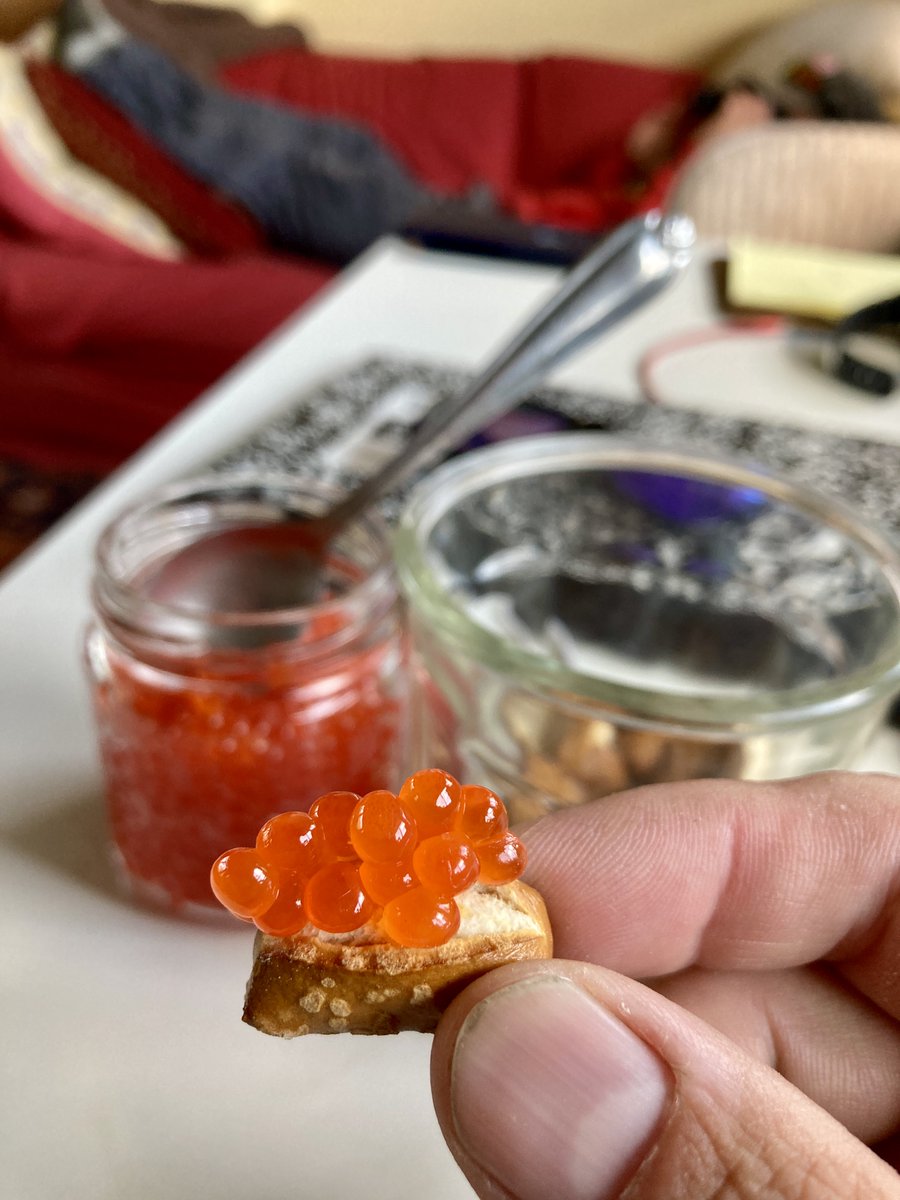 HookPointAlaska's tweet photo. As they say, in Alaska, the odds are good but the goods are odd. During the fishing season we'll take it as we can get it! Salmon caviar on pretzels is a darn classy treat. #alaskalife #alaskasalmon #caviar #fancymeal #snacktime #remoteliving #selfreliance #pretzels https://t.co/KgVjc8wzyq