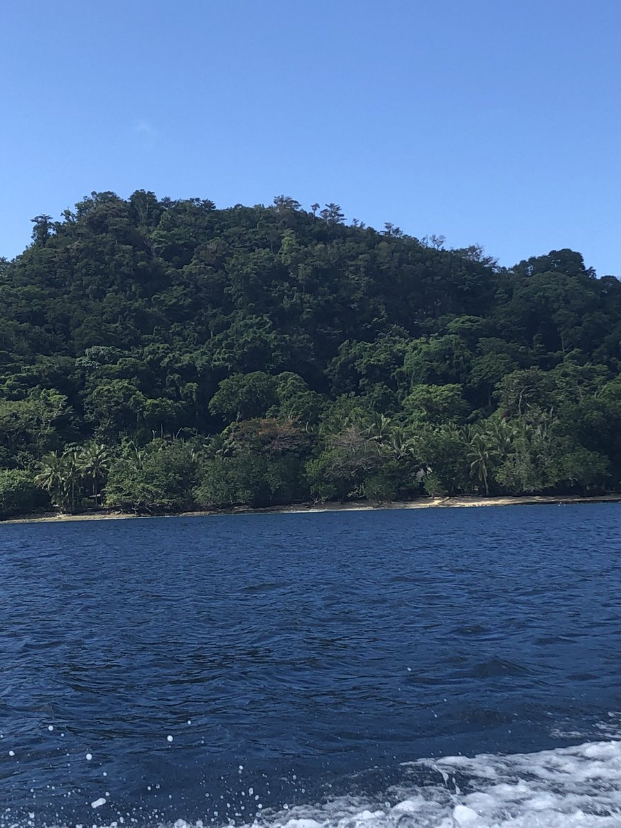 Had an opportunity to survey Qamea Island for additional and new caves for Fiji’s Globally Endangered insectivorous bats. The only way to get around the Island is by boat. Had some amazing finds. New caves and colonies of the Pacific sheath tail bat found. #NatureFiji #PacBat