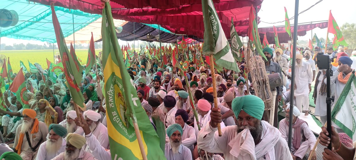 MSinghzira's tweet photo. ਸਾਝਾਂ ਮੋਰਚਾ ਜ਼ੀਰਾ ਧਰਨੇ ਤੇ ਰਿਕਾਰਡ  ਤੋੜ ਇਕੱਠ
@Cultural_Pendu @iBalkaurSidhu @jagpreetpama @RamanPsekhon https://t.co/QRFGELh94m