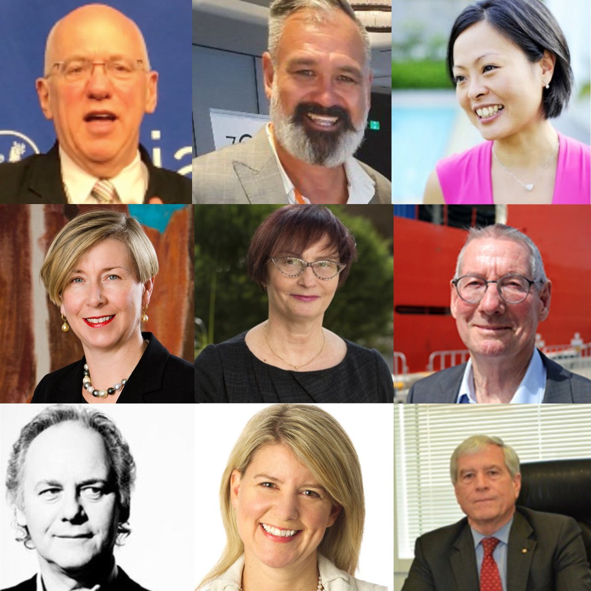 AIIANational's tweet photo. Congratulations to the 2022 AIIA Fellows:
Prof @Gbarme
@DarrenGodwell
Prof @EvelynGohCL @ANUasiapacific 
Jane Halton AO PSM
Prof @RikkiKersten @ANUasiapacific 
Dr Tony Press @UTAS
Morry Schwartz AM @BlackIncBooks
@NStottDespoja AO
Nick Warner AO PSM
https://t.co/svNYmwz9UR https://t.co/BuSkNZhYQ4