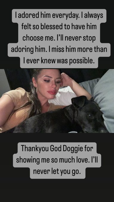 God doggie!! https://t.co/6tUSg7ps7h