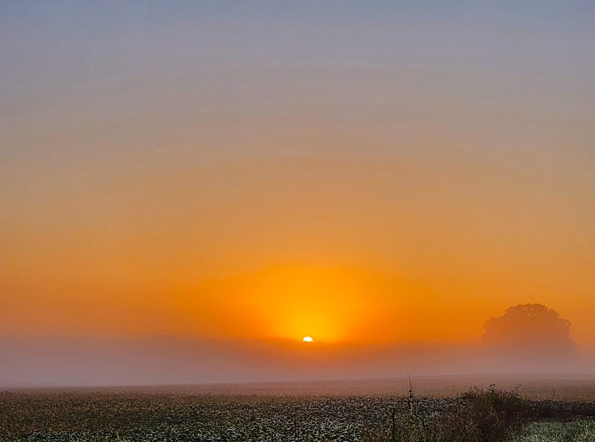 brian_crock's tweet photo. “Nature unfolds her treasure at the first ray of sunrise.” ― Kishore Bansal
#Pataskala, #Ohio. #September 20, 2022
#autumn #sky #skyquote #quoted #quote #quotations #morning #morningsky #myphotography #originalphotography #sunrisephotography #sunrisequotes #sunriselover https://t.co/KFCl4GyiBX