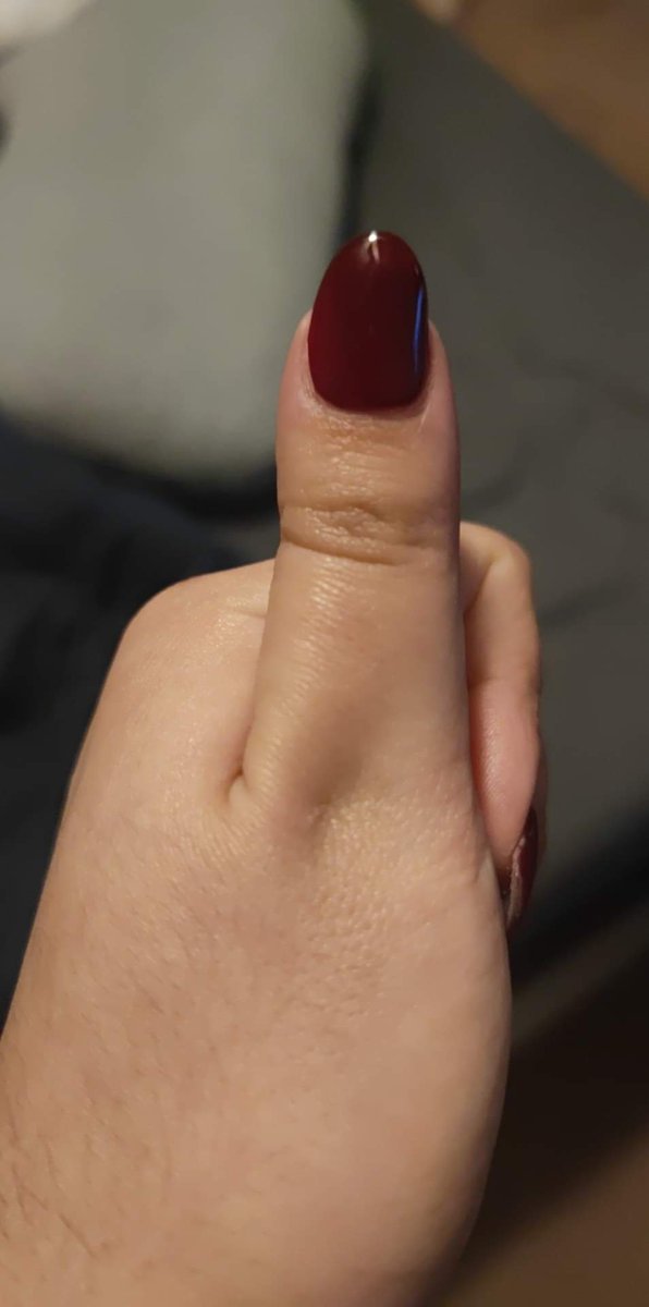 Plutogenic 👽🐊⚜️🏳️‍🌈 tweet media