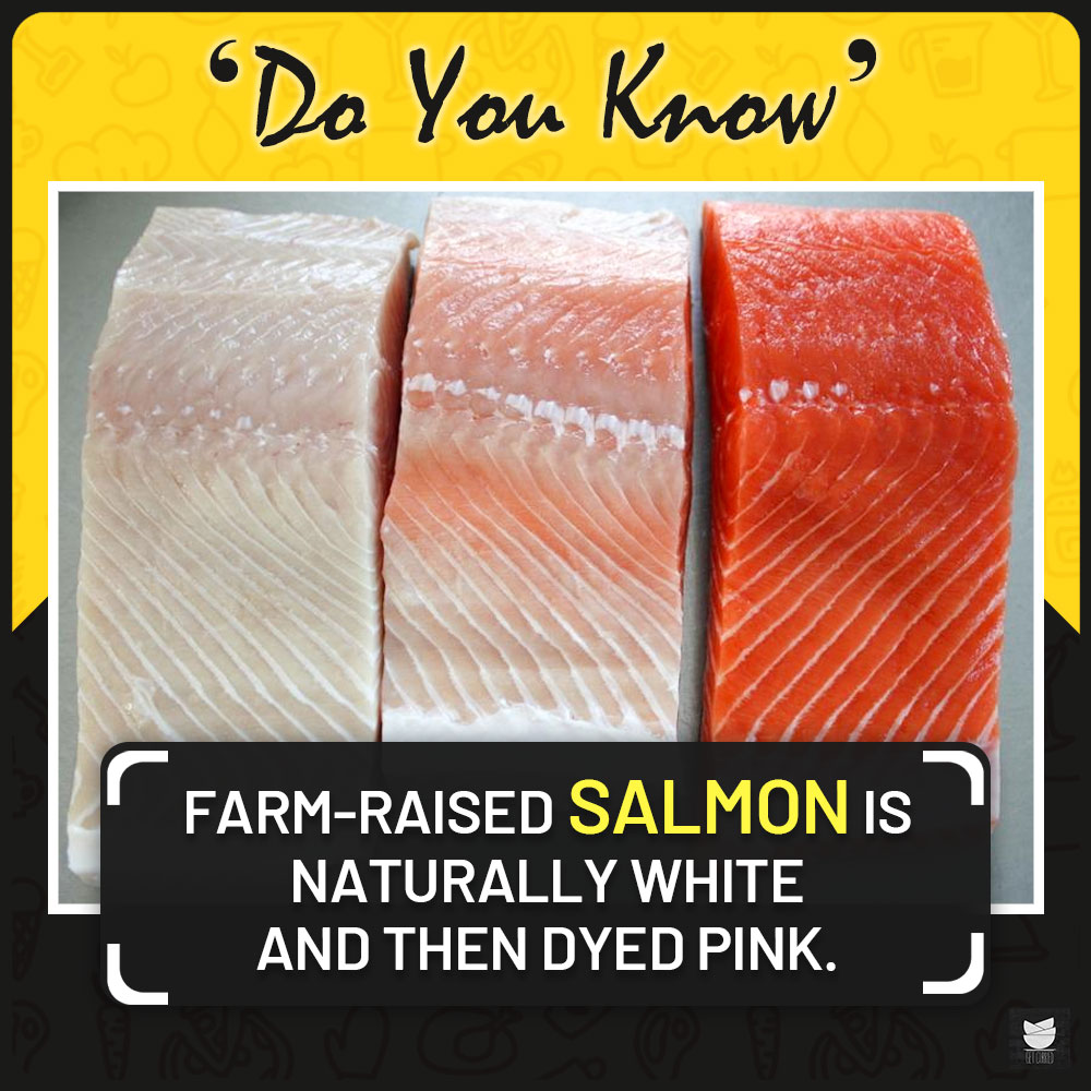 on-twitter-farmed-salmon-is-completely-white-not-a-single-tinge-of-color-companies-use