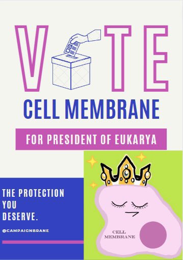 campaignbrane's tweet photo. just incase you forgot… #eukaryaelection2022 https://t.co/yP2r9STXbN