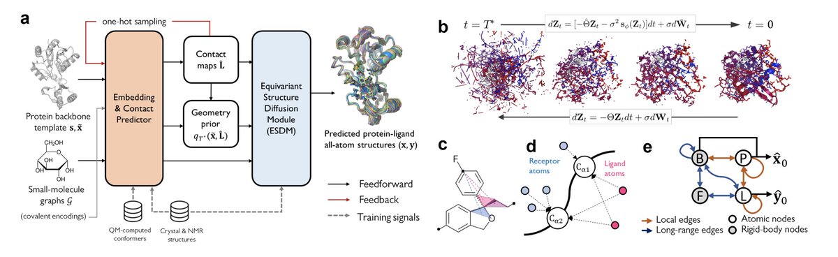 KevinKaichuang's tweet photo. Use a diffusion model to dock proteins and ligands and to design binding sites. 

@ZhuoranQ @wn8_nie @ArashVahdat @tfmiller3 @AnimaAnandkumar

https://t.co/ttQ1PykX0R https://t.co/Psba3Wgzj6