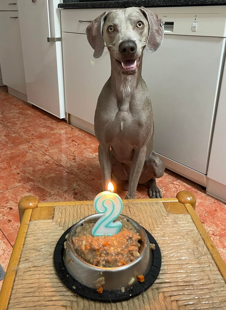 Com direito a vela e tudo