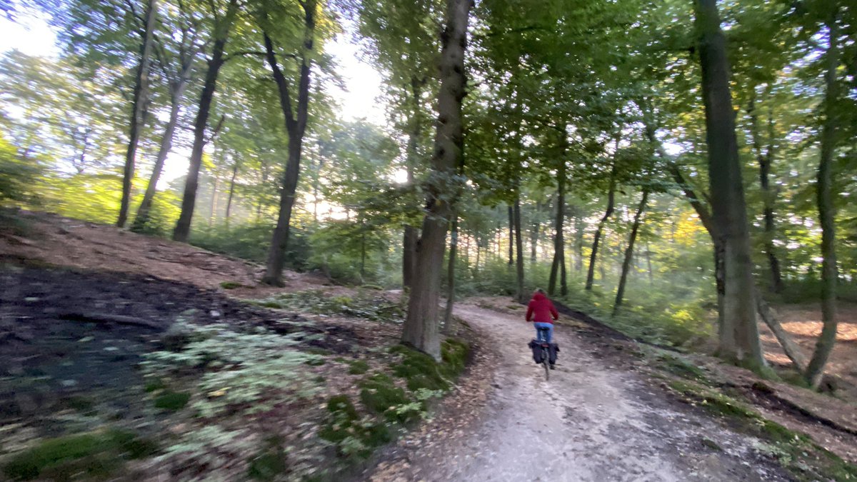 mveldhuis76's tweet photo. Fietsen door prachtige veluwse landschappen 😊🙏

#veluwezoom #warnsborn #fietsen #Lichtenbeek https://t.co/Mra5HQQYf2