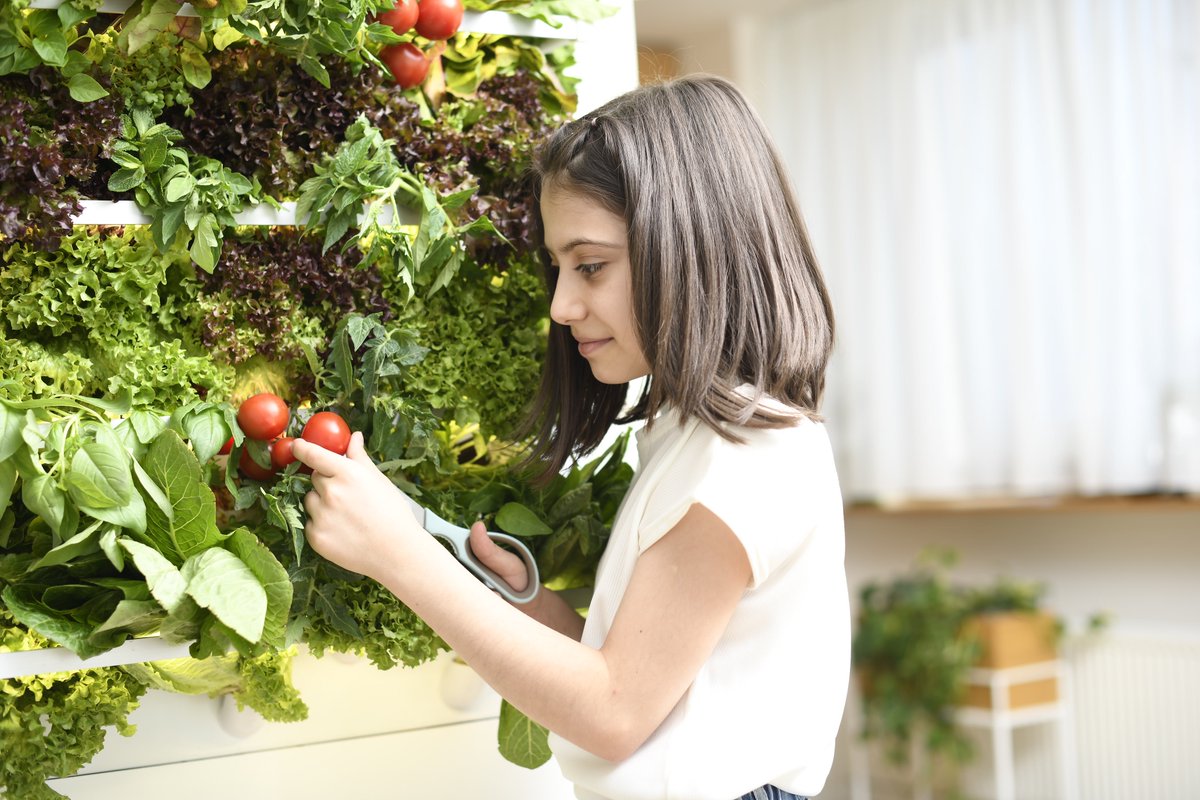 HydroArtPod's tweet photo. The HydroArtPod is a holistic system that gives customers a healthy and affordable way of growing fresh at home with minimal inputs from them. 

Ready to invest in the future of gardening at home?
Click the link below to get started.

https://t.co/nwXMO4HwMo 

#HydroArtPod https://t.co/V7MXOjwLwl