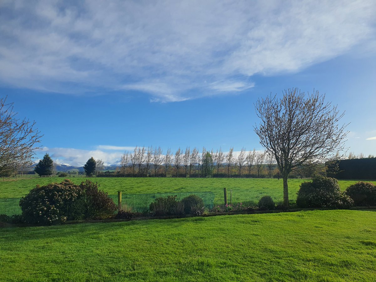 Anieka Templer tweet media