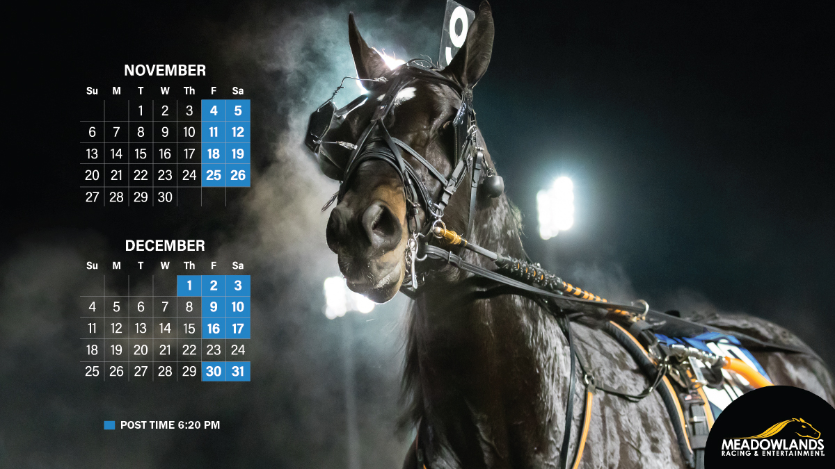 Harness Racing returns to the Big M on Friday, November 4th. ➡️ Kindergarten Classic Finals - Saturday, November 12th ➡️ TVG Finals and Fall Final Four - Saturday, November 26th #playbigm #harnessracing
