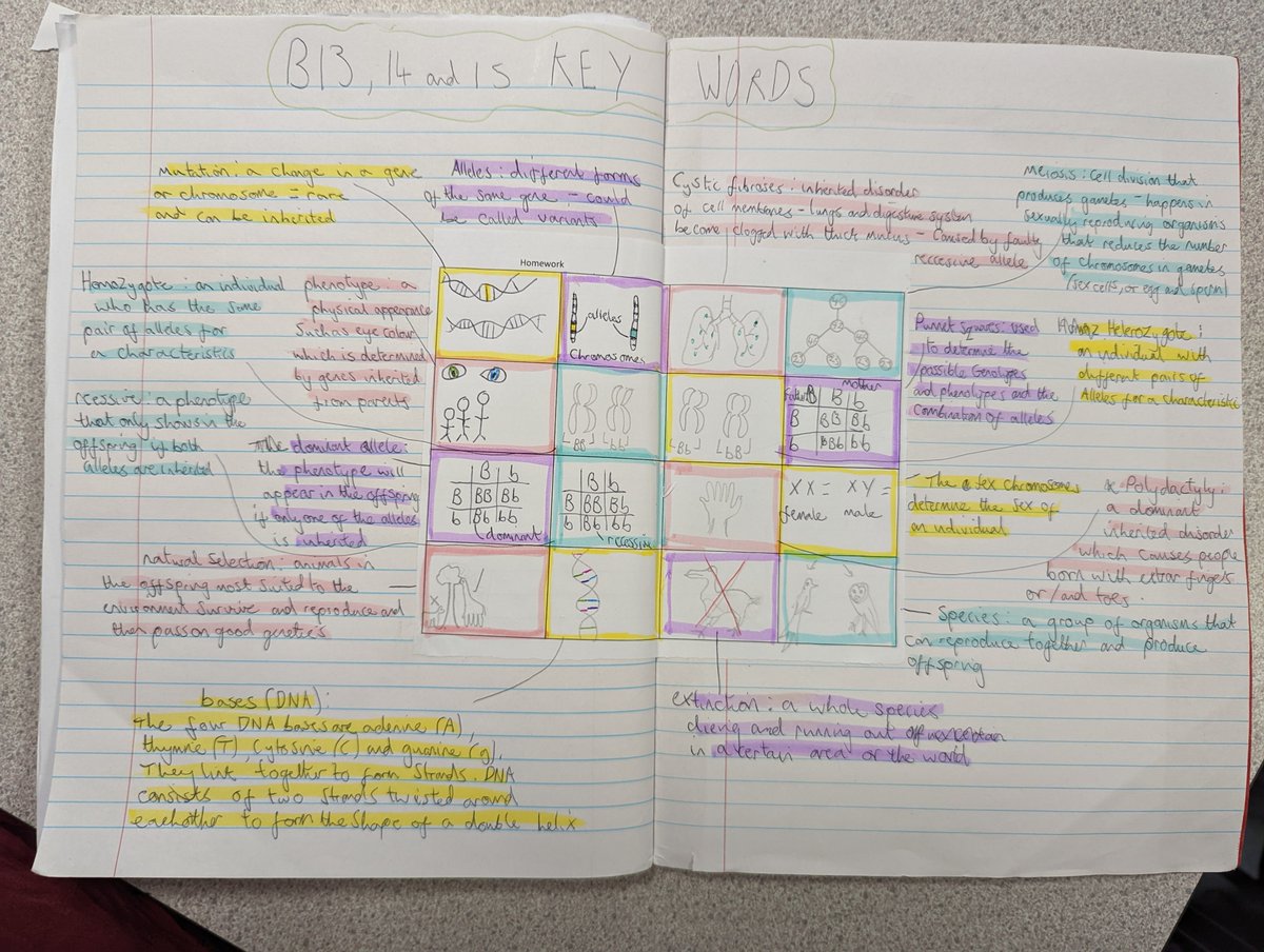 LucyRapps's tweet photo. @InternetGeog brilliant idea thanks. Improving student agency by improving students revision skills. This is homework on key science vocabulary. @mrwmhistory #DanTheLiteracyFacilitator https://t.co/6qYRzQKAvn