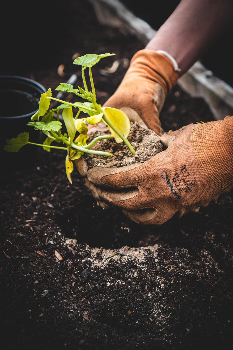 greenestcity's tweet photo. The Greenest City Grant program offers grants for place-based, community-driven initiatives that help advance sustainability and #VanClimateAction. The deadline to submit your Expression of Interest for the program is October 7 - this Friday!
Learn more: https://t.co/yn6Lyg068k https://t.co/qGCmlfjw9r