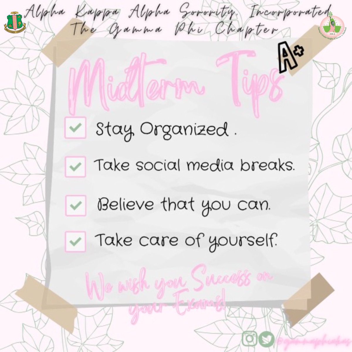 We wish you success on your exams! May good luck be in your favor, and your preparation brings
fantastic outcomes! Have a great week!💗💚
#AKA1908 #SOARINGWithAKA #GOODLUCK