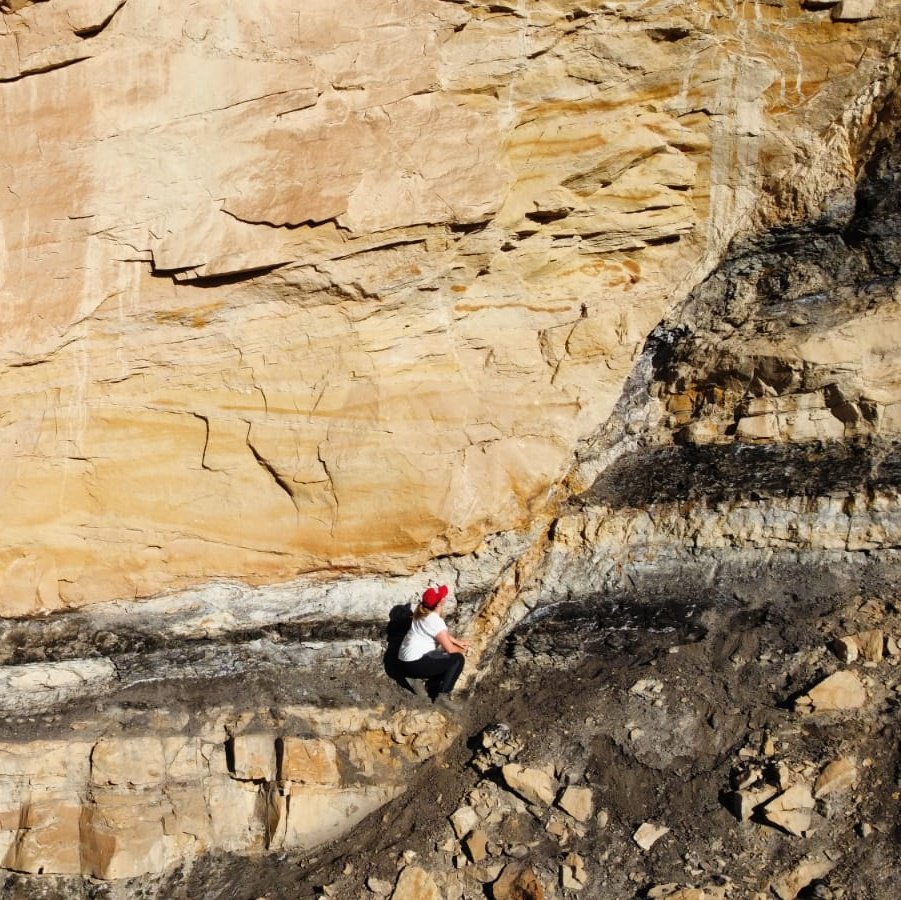 Sian Evans tweet media