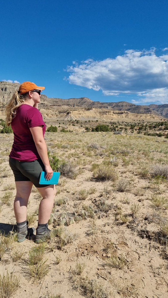 Sian Evans tweet media