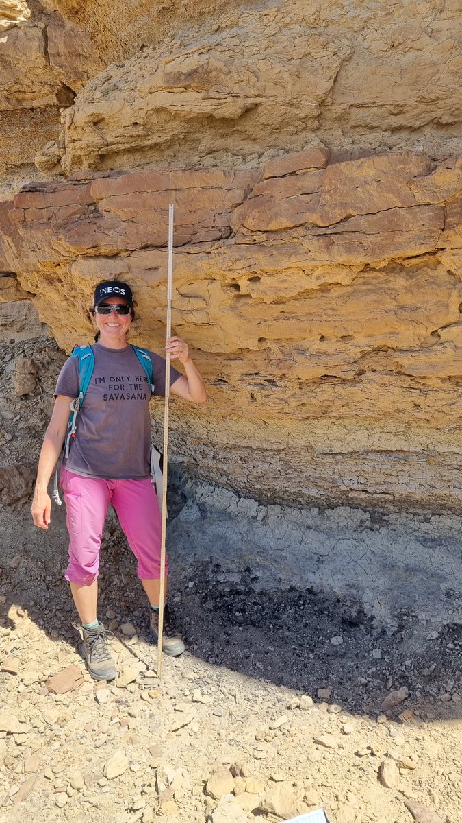 Sian Evans tweet media