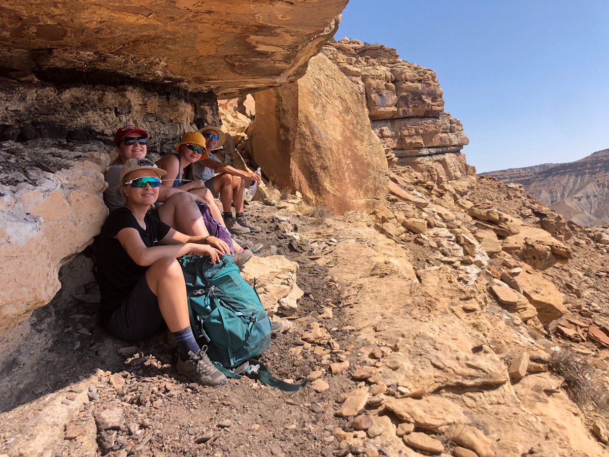 Sian Evans tweet media