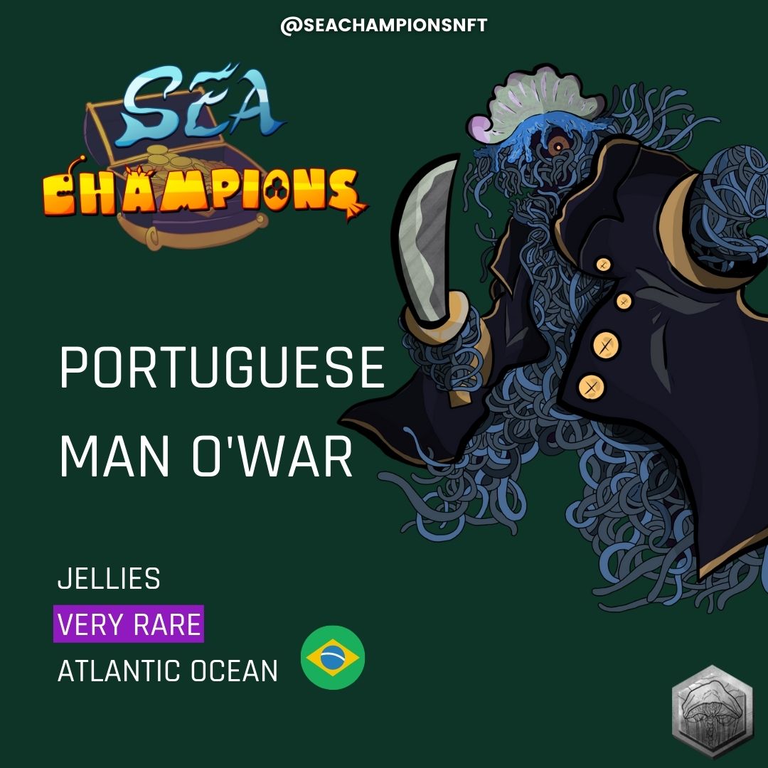Get to know a little better one of our champions of the seven seas.
Captain Costa the Man O’War(Portuguese Man O'War)has a beauty with its colors and tones, but this animal is dangerous, the bite is extremely painful and can evolve into something more serious.