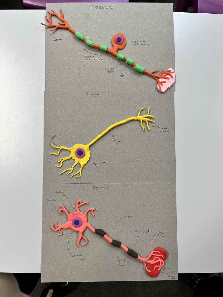 FBA_6thForm tweet media