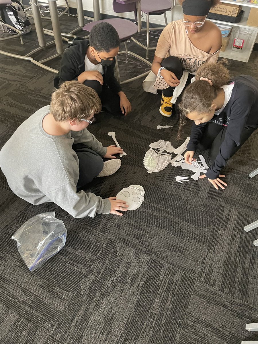 MrsMasters0708's tweet photo. 7th graders have been learning body systems. Today they were able to race each other to put together a skeleton. #achievechargers @Derek_Eaton19 @MrJBolek https://t.co/UwyEyfXCCn