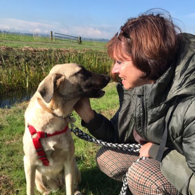 MoniqueBarSch's tweet photo. #nieuweprofielfoto https://t.co/DYg8YHAKz2