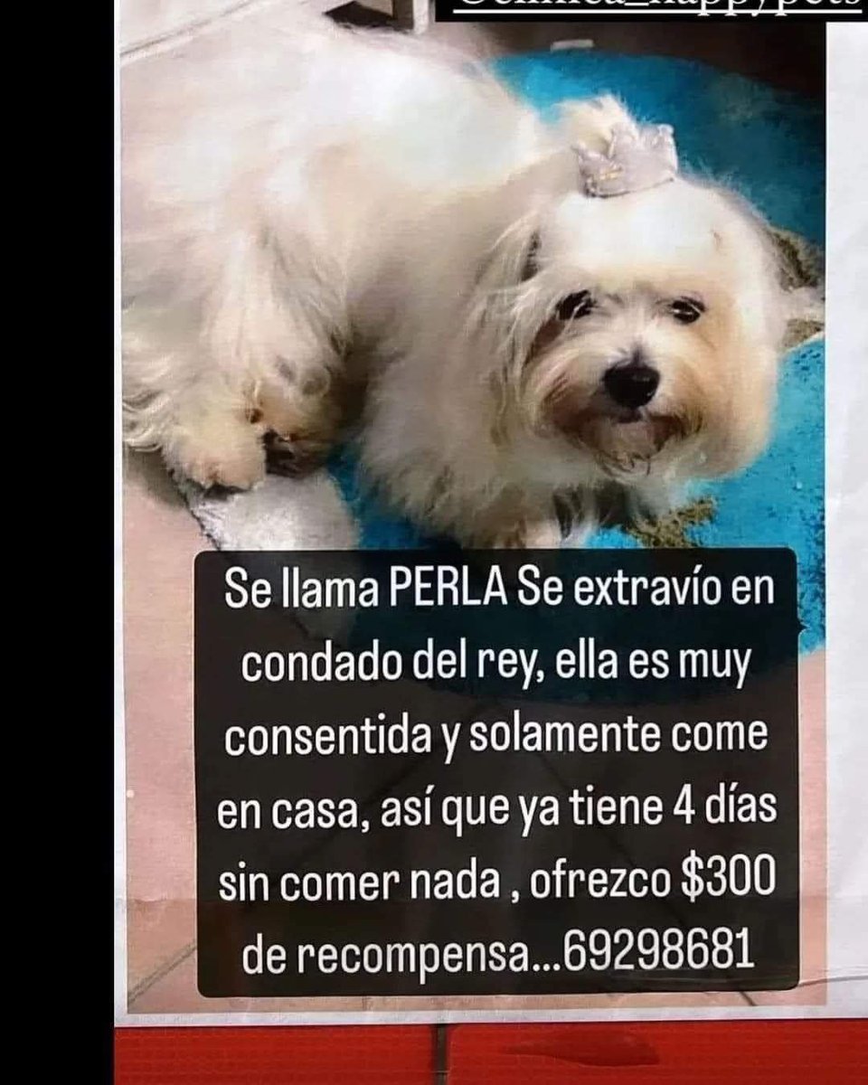 AYUDA QUERIDOS TODOS, COMPARTAN POR FAVOR!