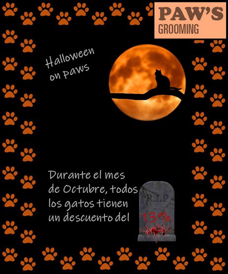 Para todos los que tengan gatos! 🐱🐈‍⬛
Paw’s Grooming tiene promoción del 13% de descuento en gatos por el mes de Octubre 🥰🙌🏻
Insta: instagram.com/pawsgroomingcr… 
Si pueden ayudar con un retweet se los agradezco #cats #grooming #pets #gatos