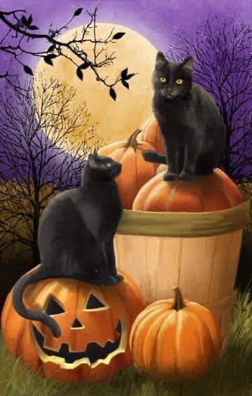 SpookyBrew_80's tweet photo. https://t.co/93Qsjo55V4