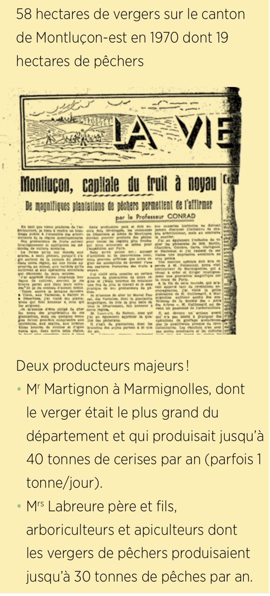 MaCombrailles's tweet photo. Qui, en dehors des « amis des arbres », sait la saveur de la « poire sucrée vert de #Montluçon » présente à la Foire de 2022? Une association qui oeuvre pour la préservation et la diffusion du patrimoine fruitier régional. Ici: https://t.co/y1g9clskNS et https://t.co/V0ImSRCOtO https://t.co/M6uKeZRePA