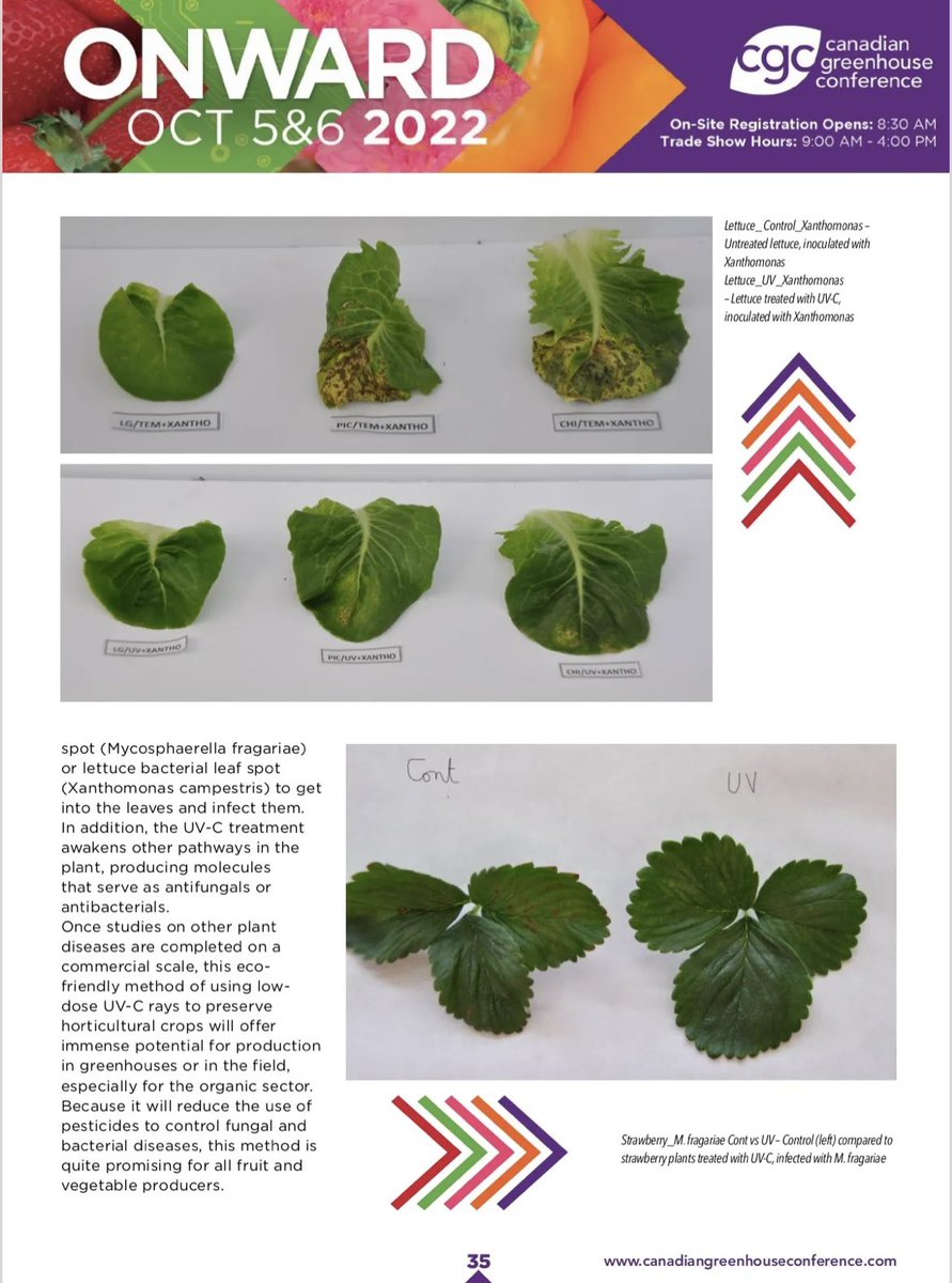 Berry Growers of Ontario (@ontarioberries) on Twitter photo See you tomorrow at the Canadian Greenhouse Conference! Here is a snapshot of the show guide for tomorrow including some leading-edge 🍓 research. #ontarioberries #cgc22 <a href="/AAFC_Canada/">AAFC Canada</a> See you tomorrow at the Canadian Greenhouse Conference! Here is a snapshot of the show guide for tomorrow including some leading-edge 🍓 research. #ontarioberries #cgc22 <a href="/AAFC_Canada/">AAFC Canada</a>