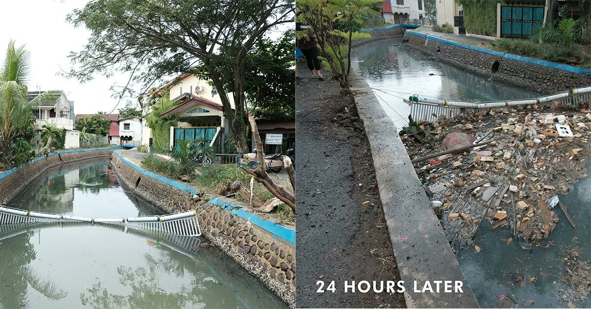 Pangea Movement tweet media