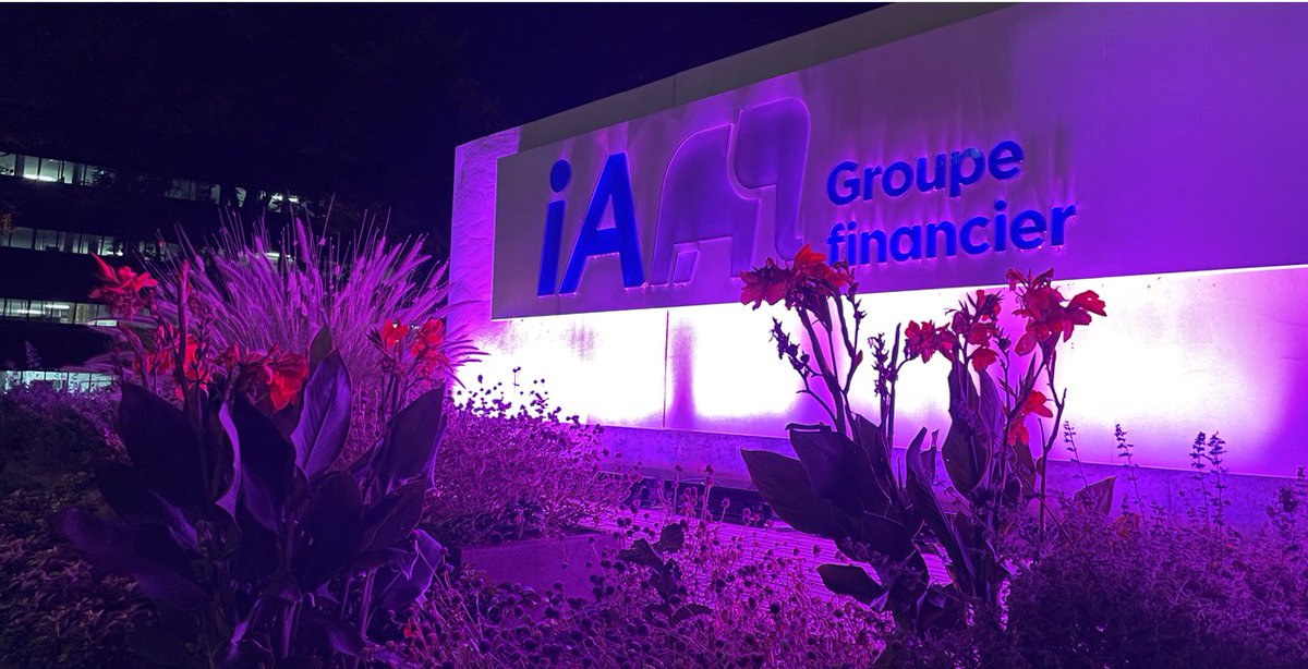IAcanada's tweet photo. 💗 Once again this year, some of our buildings in Quebec City and Montreal will be lit up in pink during the month of October in support of everyone fighting breast cancer, their loved ones, and their caregivers.
#quebecvilleenrose #QVR
#breastcancerawarenessmonth
#FCHUQC https://t.co/IxluB67Vmv